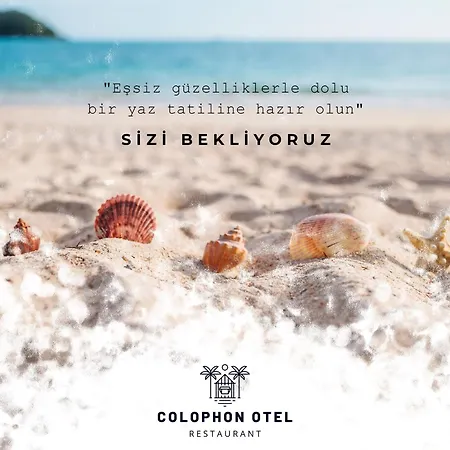 Colophon Beach *
